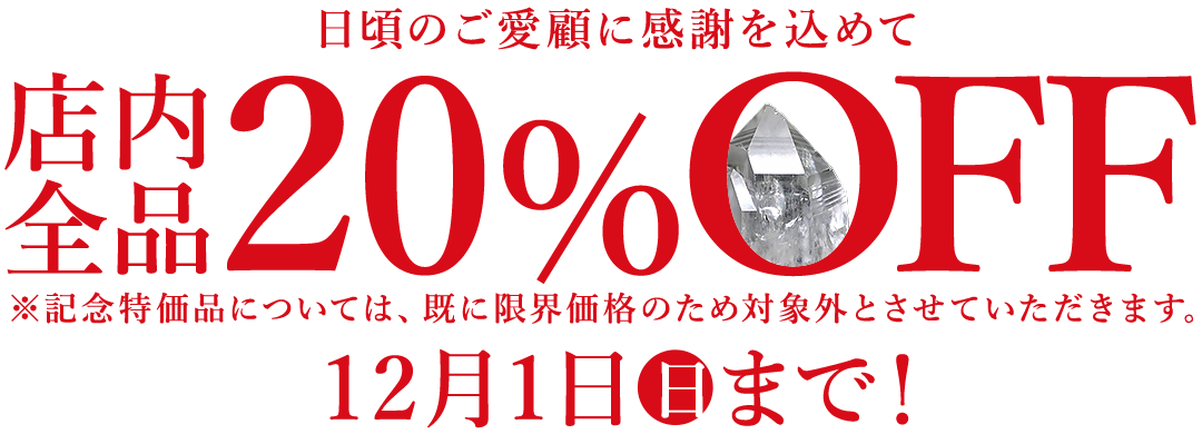 【リードバナー】大感謝祭20%OFF