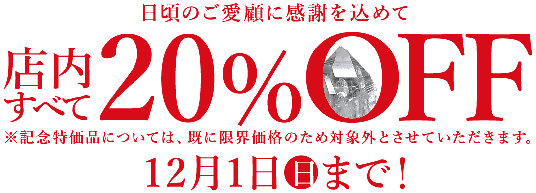 【リードバナー】大感謝祭20%OFF